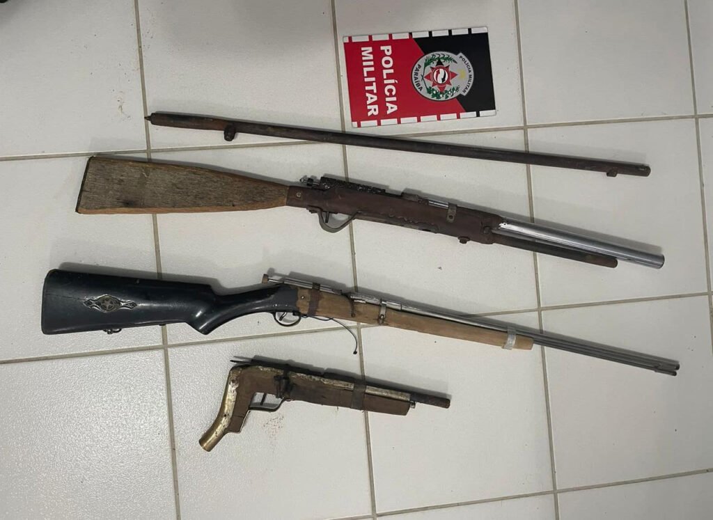 Polícia Militar apreende cinco armas de fogo em ações no interior do estado